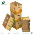 Corrugated Paper Shipping Carton Fruit Boxes